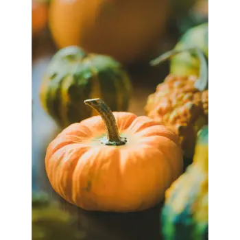 fresh pumpkin (24)-9825994-11819.webp